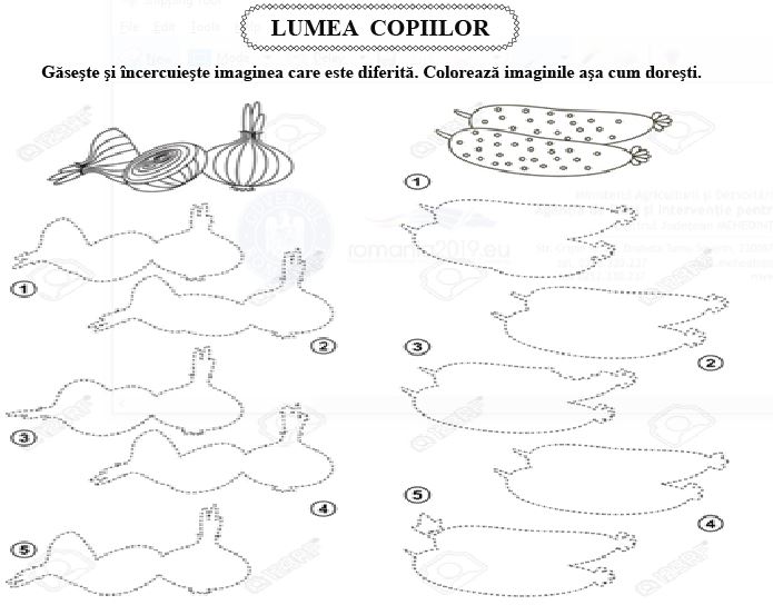 lc 270219 01