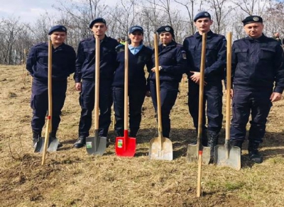 Jandarmii  au participat la acțiunea ,,Luna plantării arborilor”