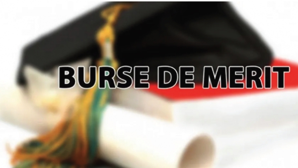 Burse de merit pentru 21 de elevi şi studenţi  performanţi din ţară